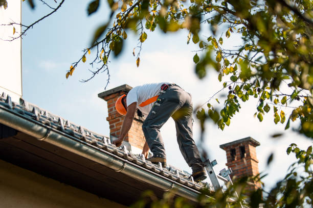 Roof Gutter Cleaning in Panama City Beach, FL